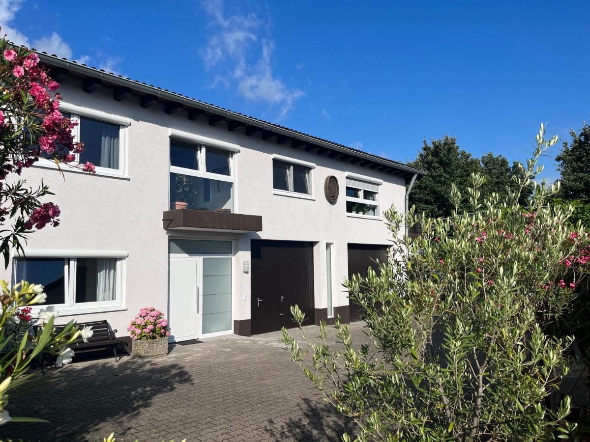 Apartment 100 Qm Im Weindorf - Balkon/Garage Aspisheim Buitenkant foto