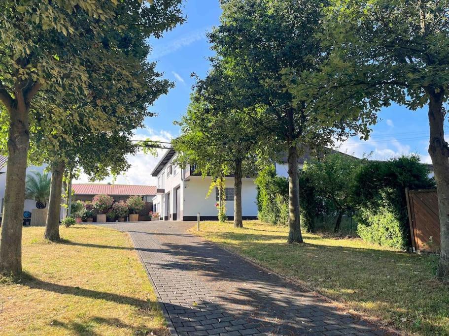 Apartment 100 Qm Im Weindorf - Balkon/Garage Aspisheim Buitenkant foto