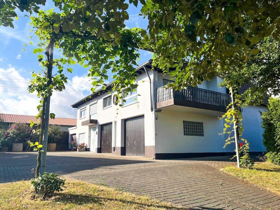 Apartment 100 Qm Im Weindorf - Balkon/Garage Aspisheim Buitenkant foto